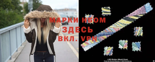 стафф Магадан