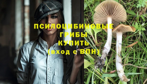 apvp Майский