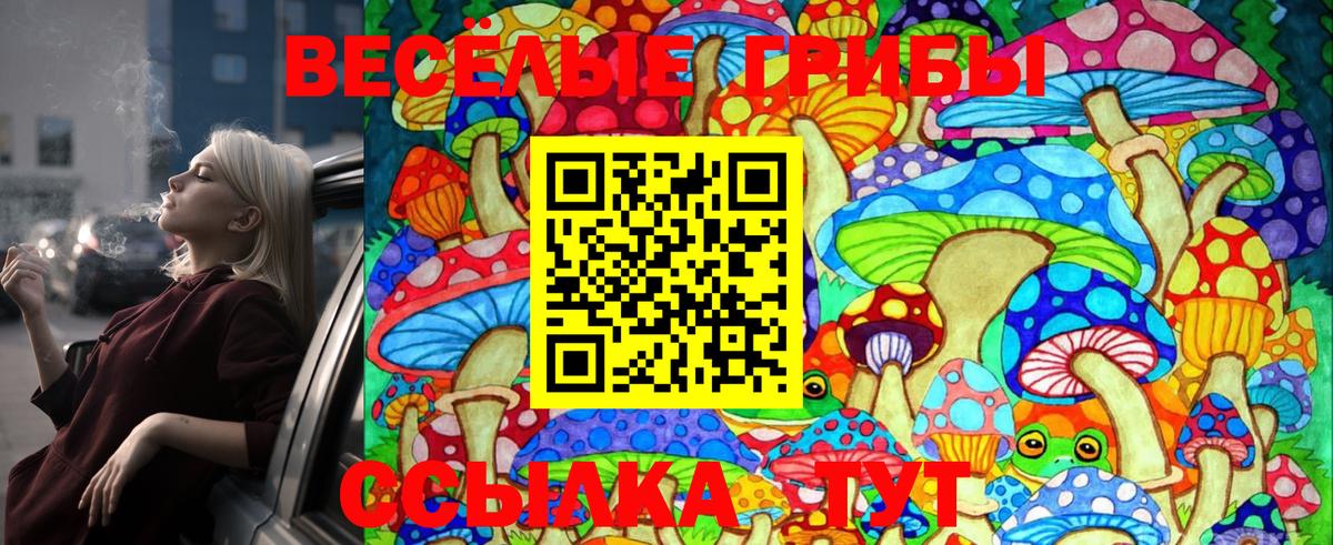 Псилоцибиновые грибы Magic Shrooms Муром
