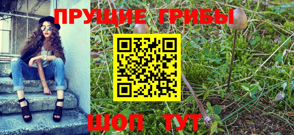 Галлюциногенные грибы GOLDEN TEACHER  Вход с VPN  Муром 